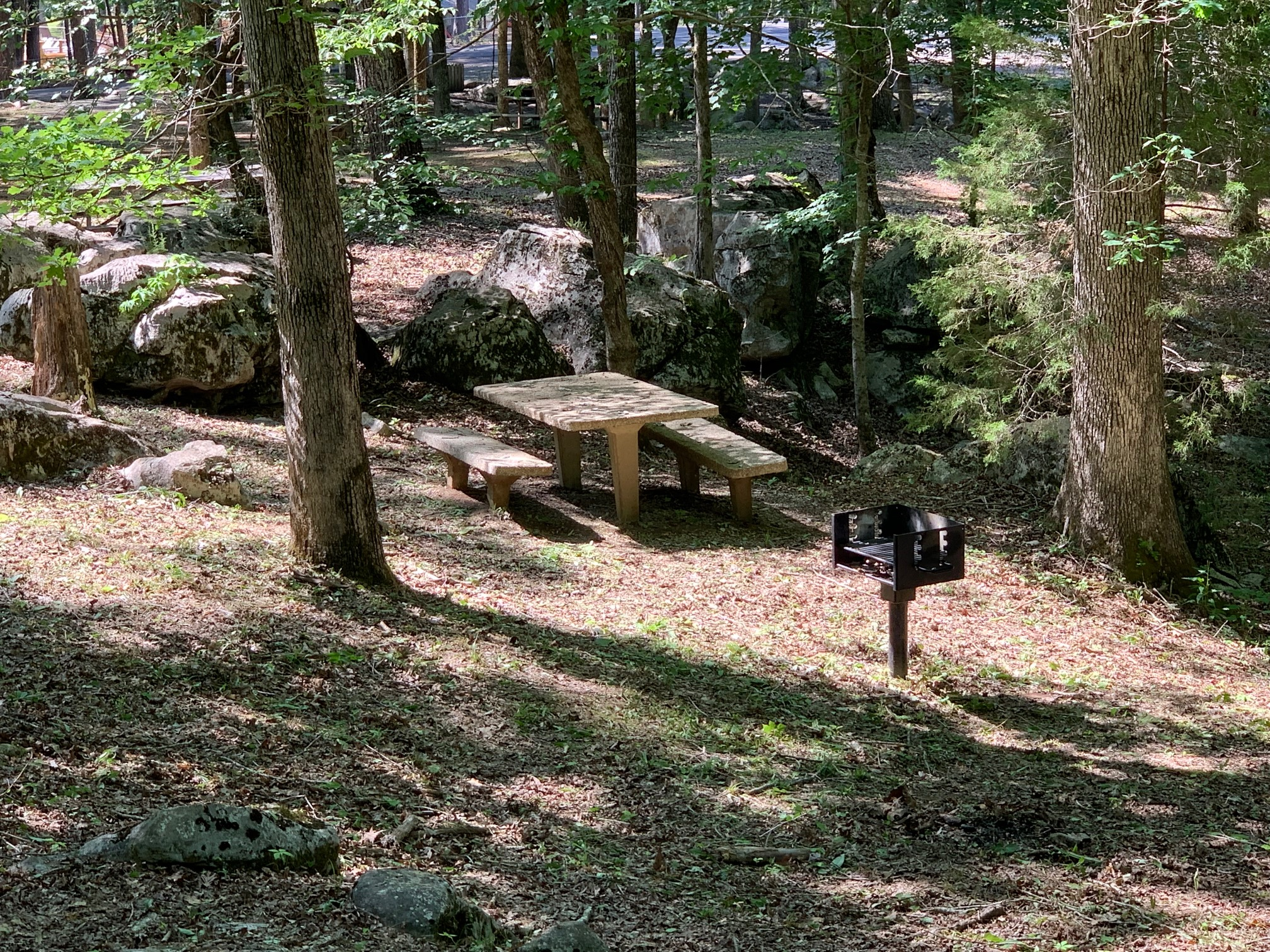 Picnic Table 