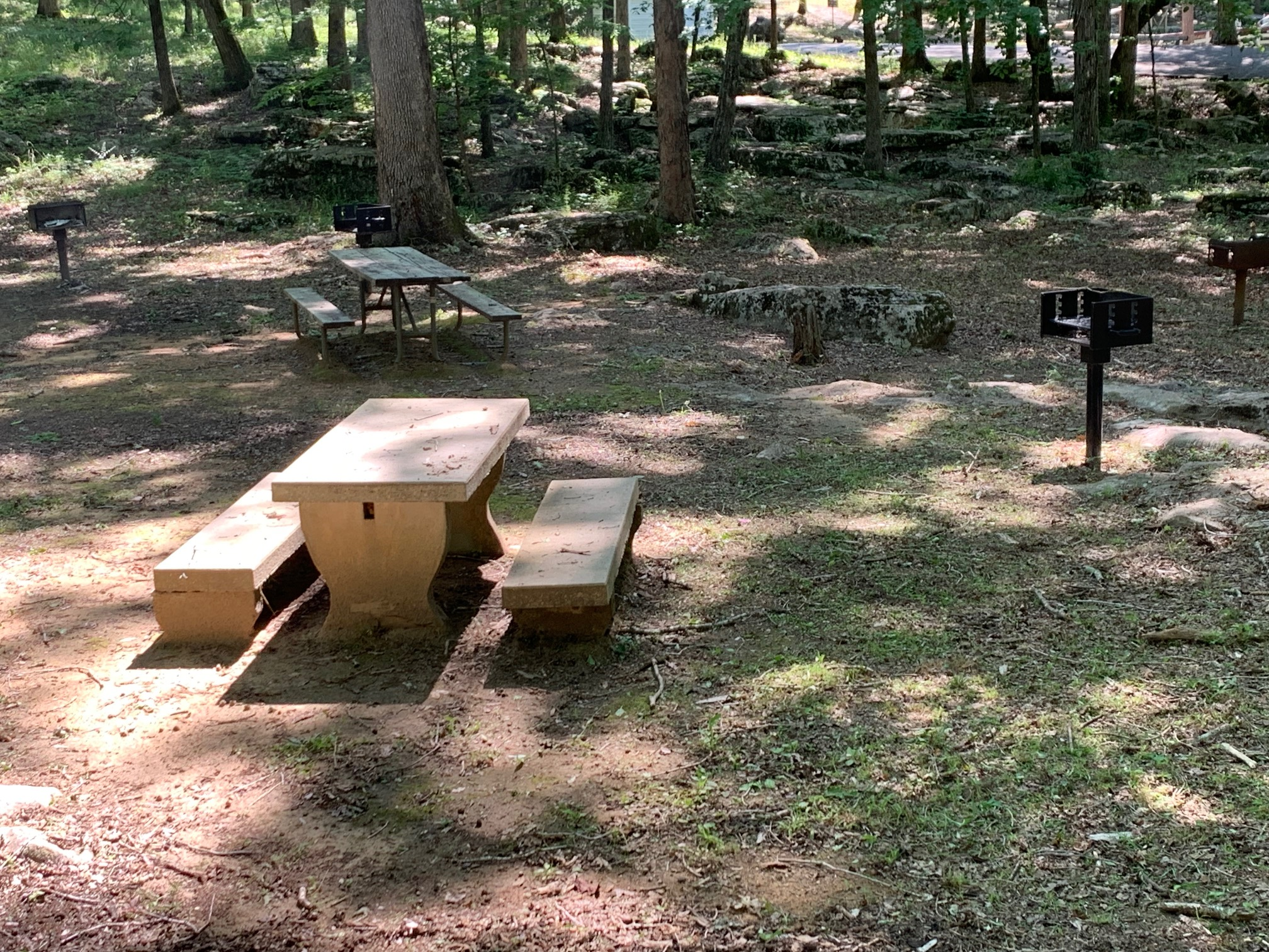 Picnic Table 