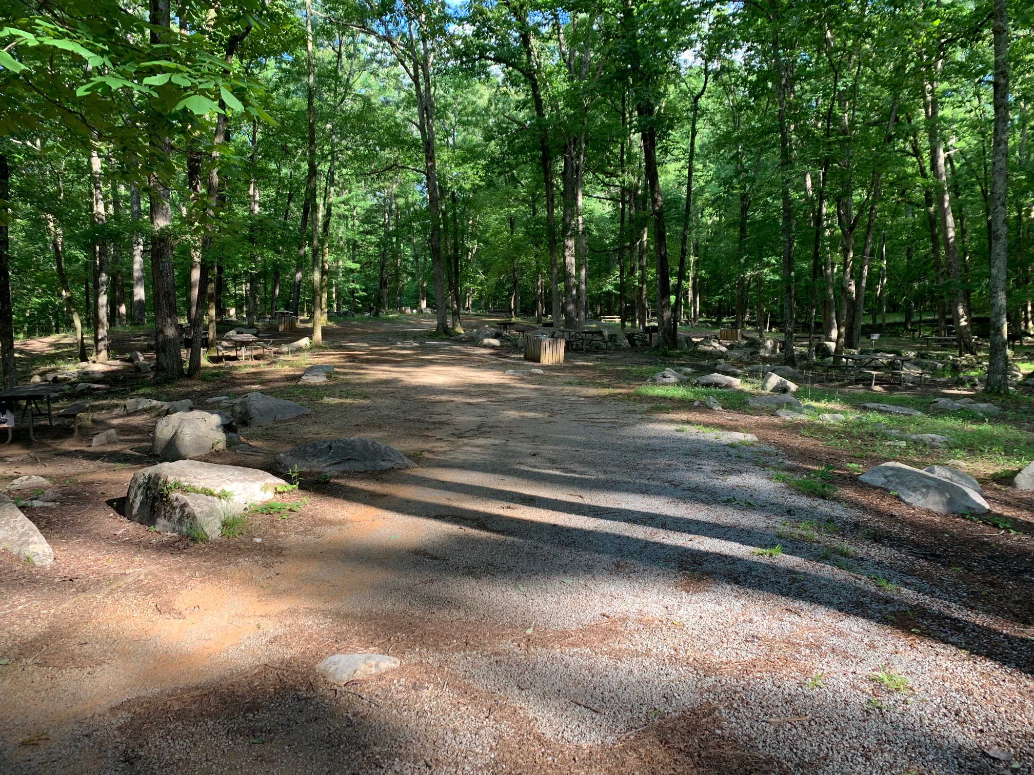 Picnic Area 