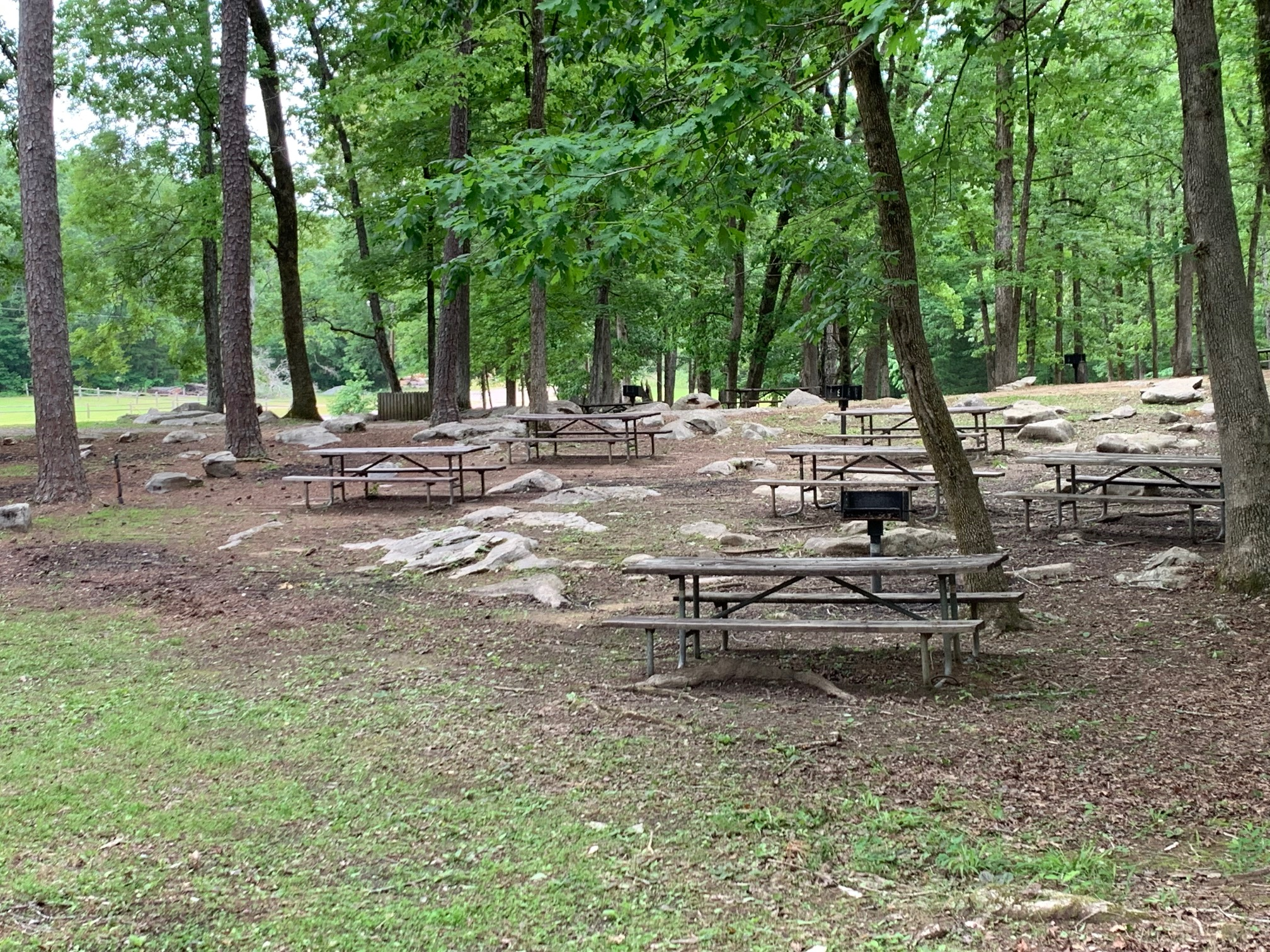 Picnic Area