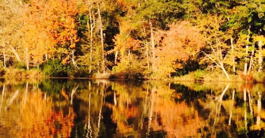 Paul Grist Fall Colors