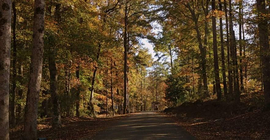 Paul Grist State Park Fall Colors