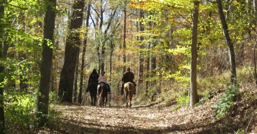 Paul Grist State Park Colors