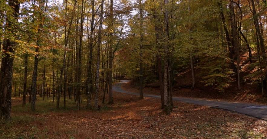 Paul Grist State Park Leaf Colors