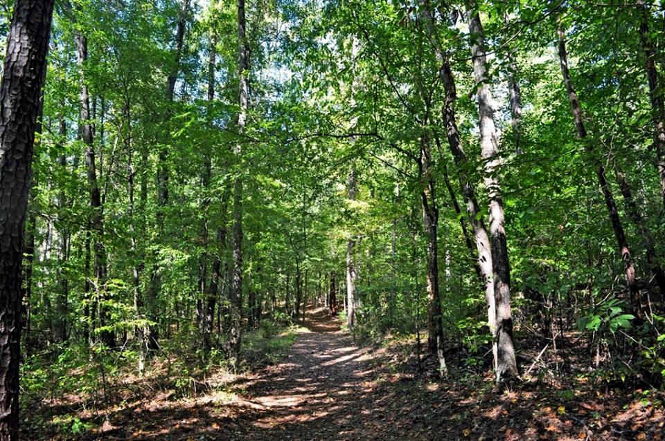 Paul Grist State Park Trails