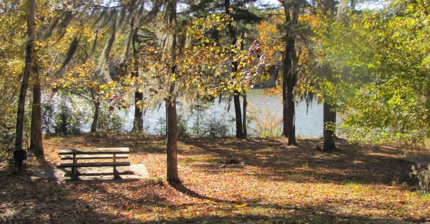 Roland Cooper State Park Primitive Camping 