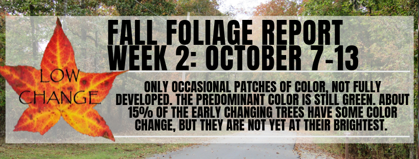 Fall Foliage Report W2