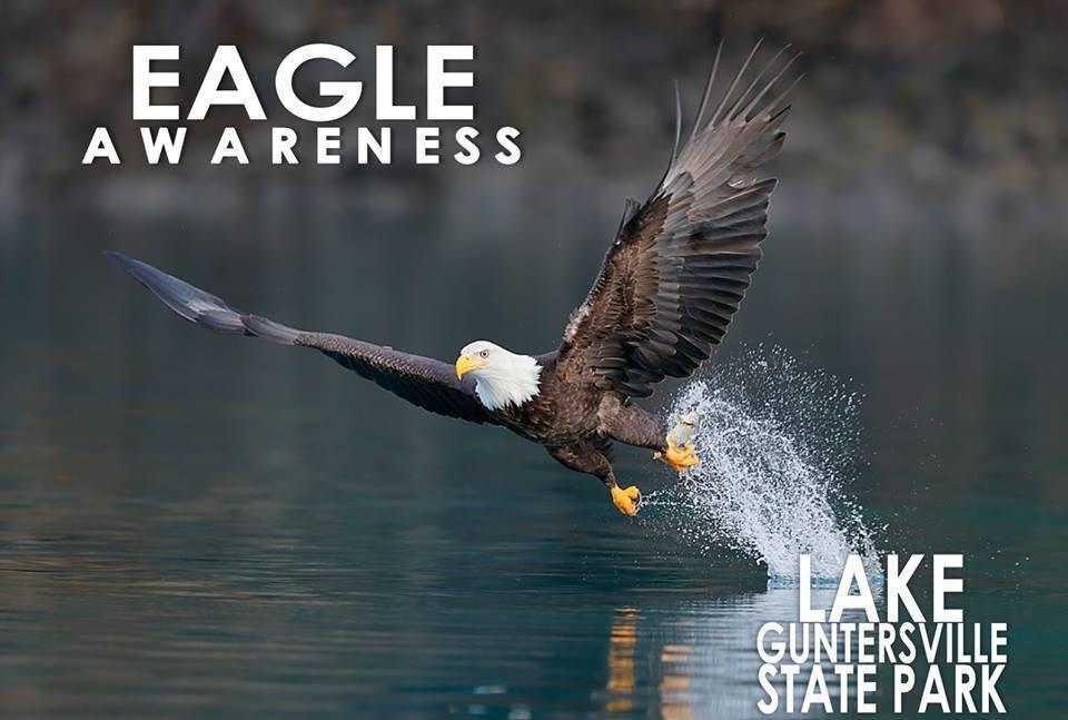 Eagle 3