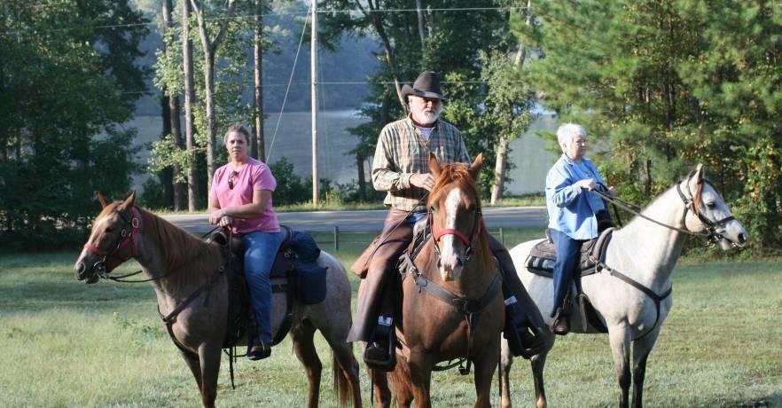 Horses LGSP
