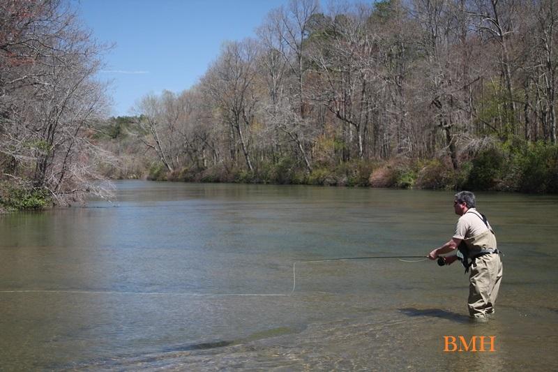 DSP Fly Fishing in Little River