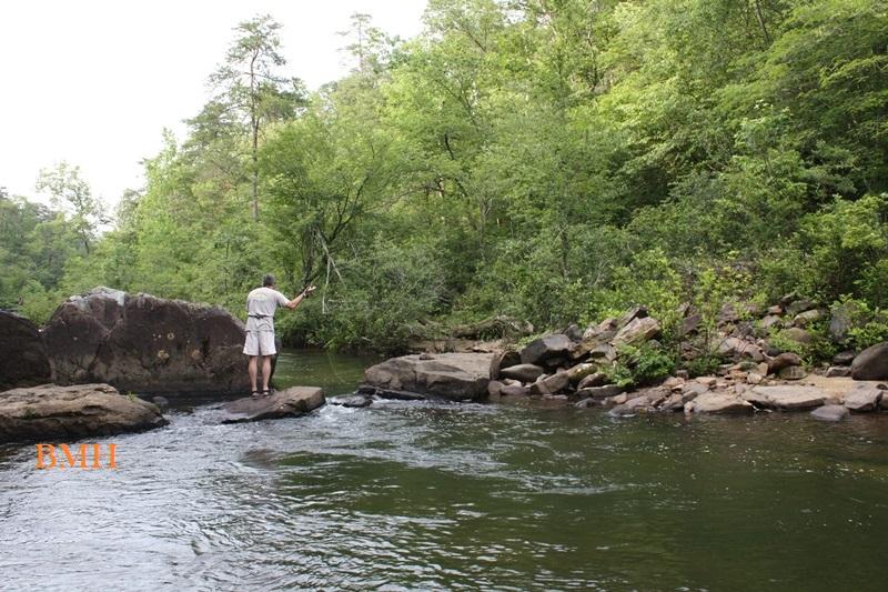 DSP Fly Fishing in Little River