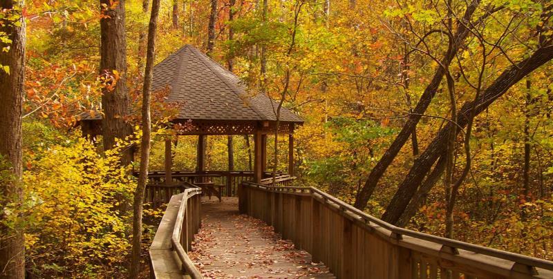 dsp_gazebo_on_talmadge_butler_boardwalk_trail.