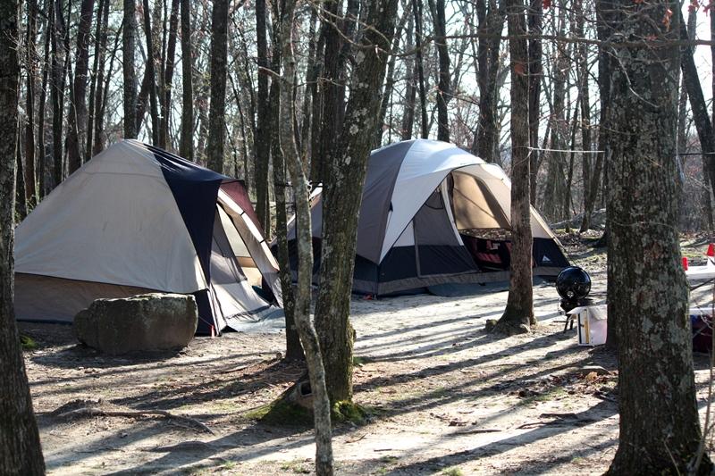DSP Primitive campground