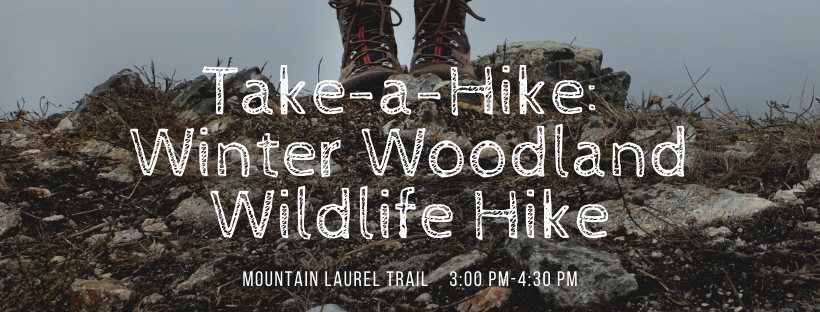 Take a Hike: Winter Woodland Wildlife Hike