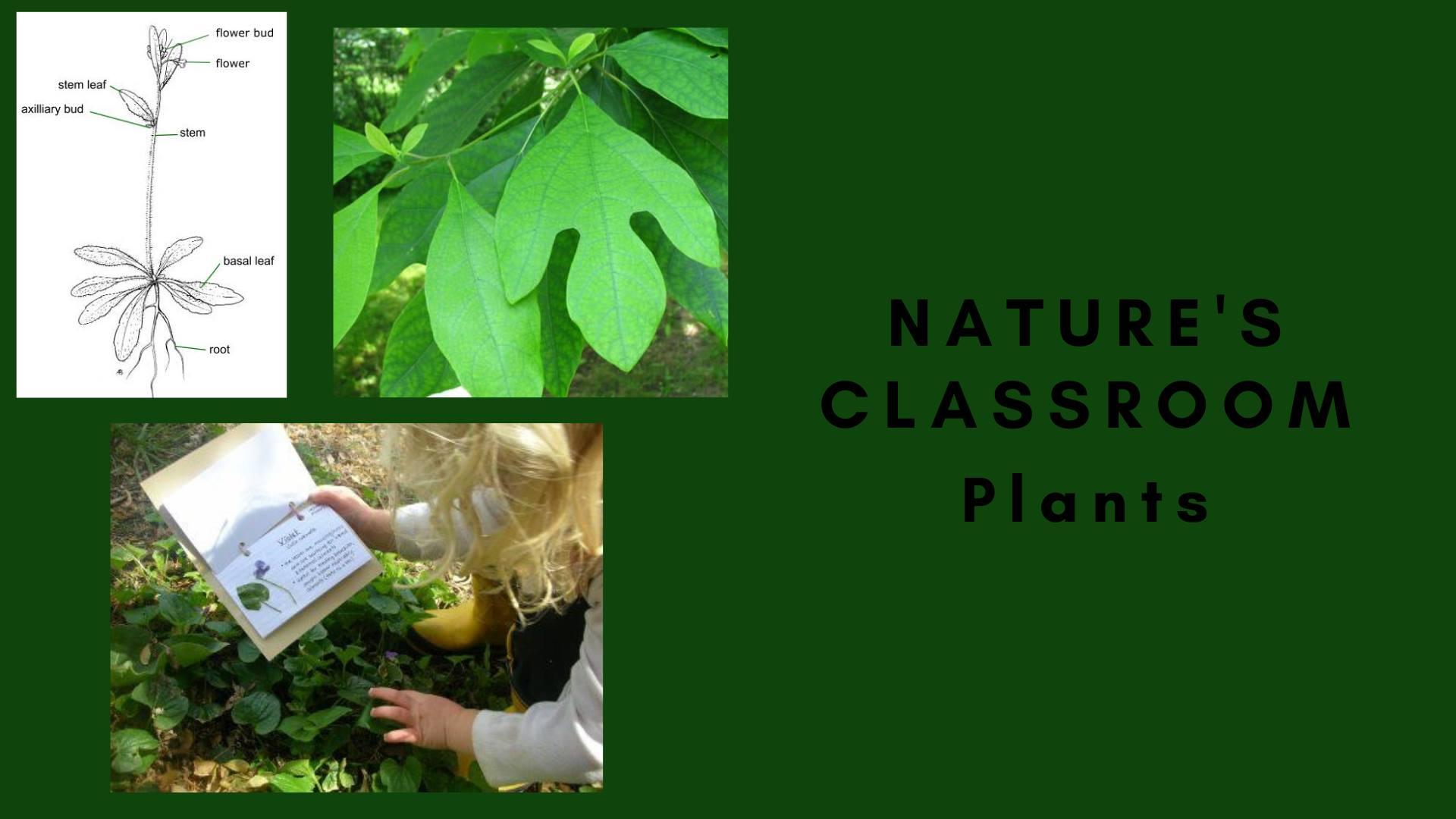 DSP JSU Nature Classroom
