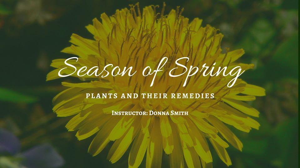 Plants and their Remedies
