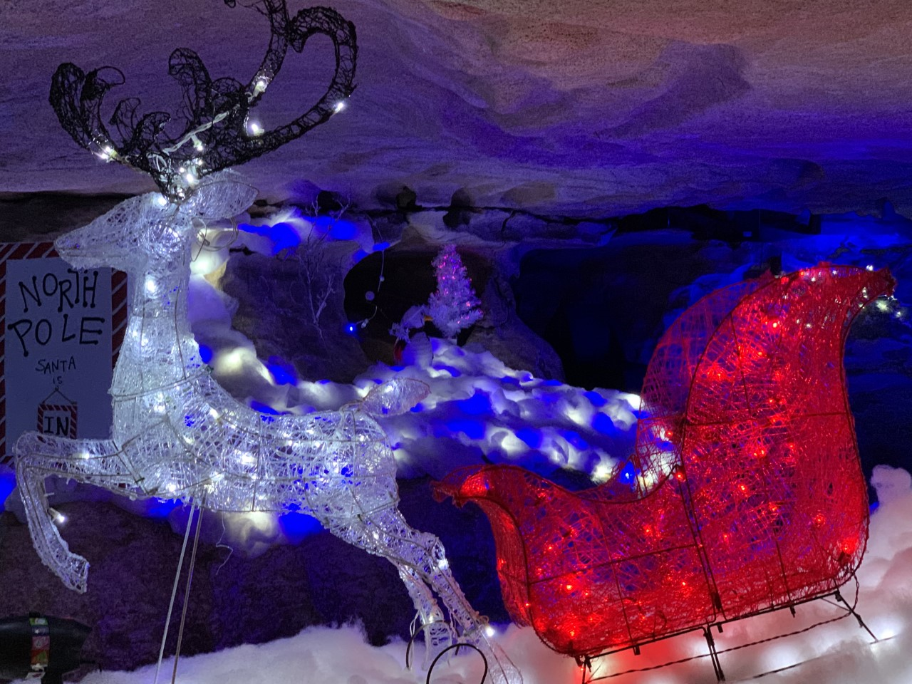 Reindeer Sleigh 