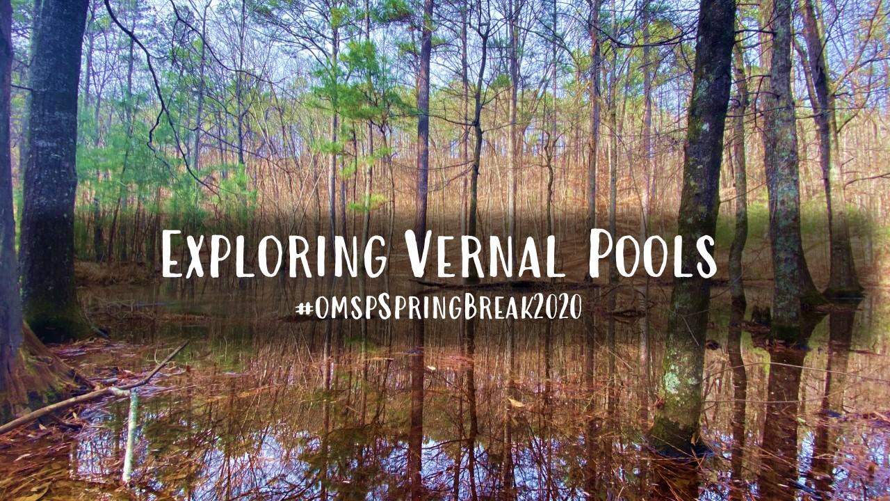 vernal pool spring break