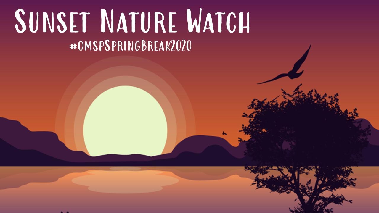 Sunset nature watch