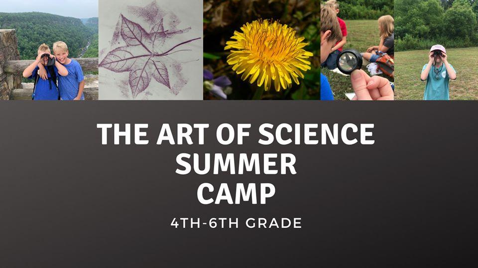 Art of Science