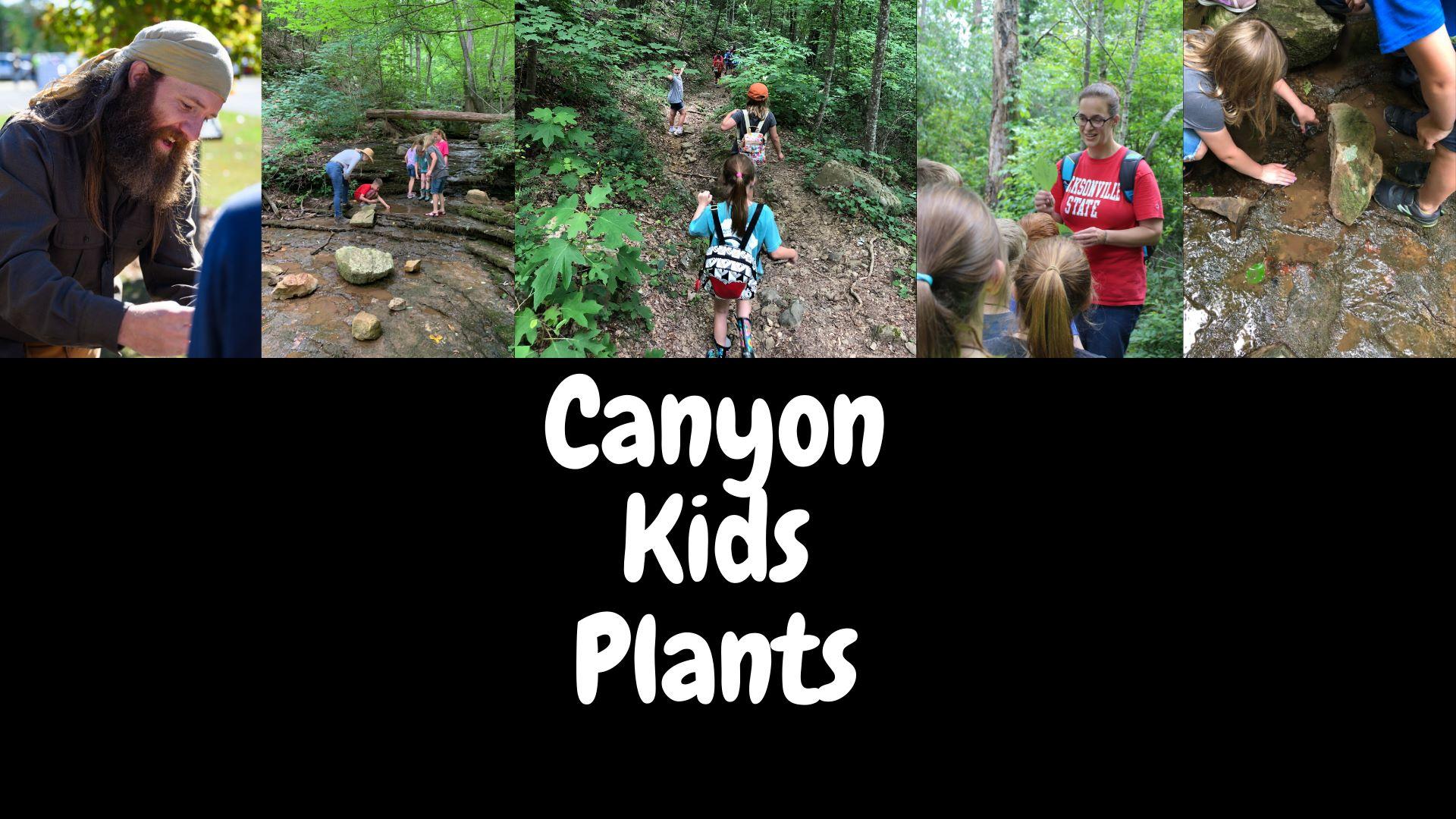 Canyon Kids Plants