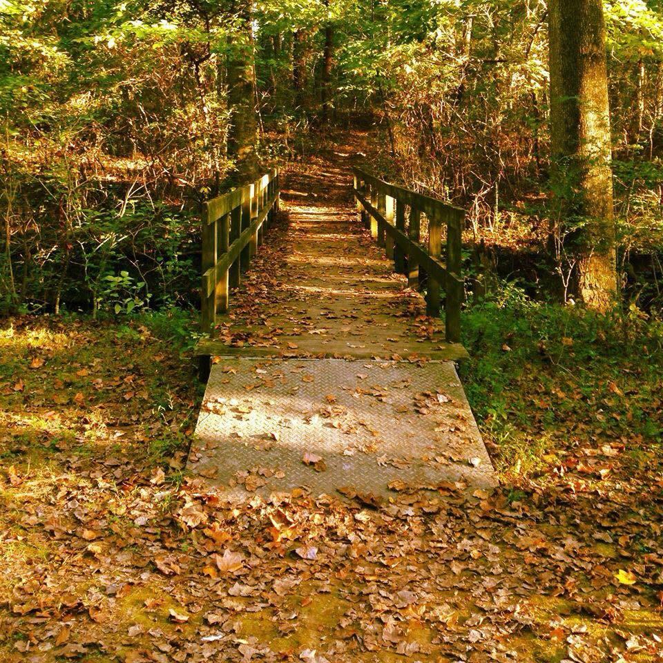 JWSP TRAILS