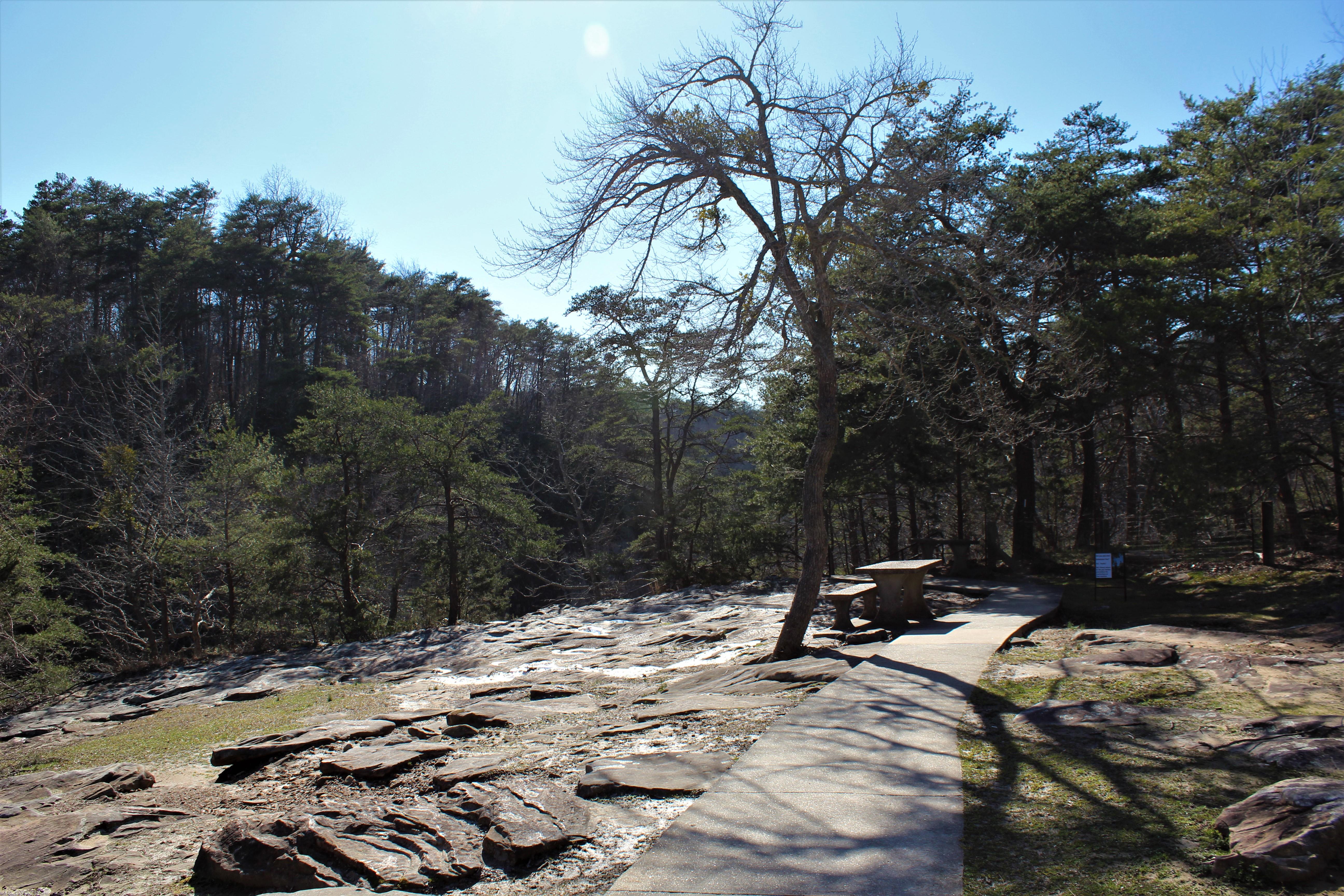 DSP DeSoto Falls Picnic Area Winter