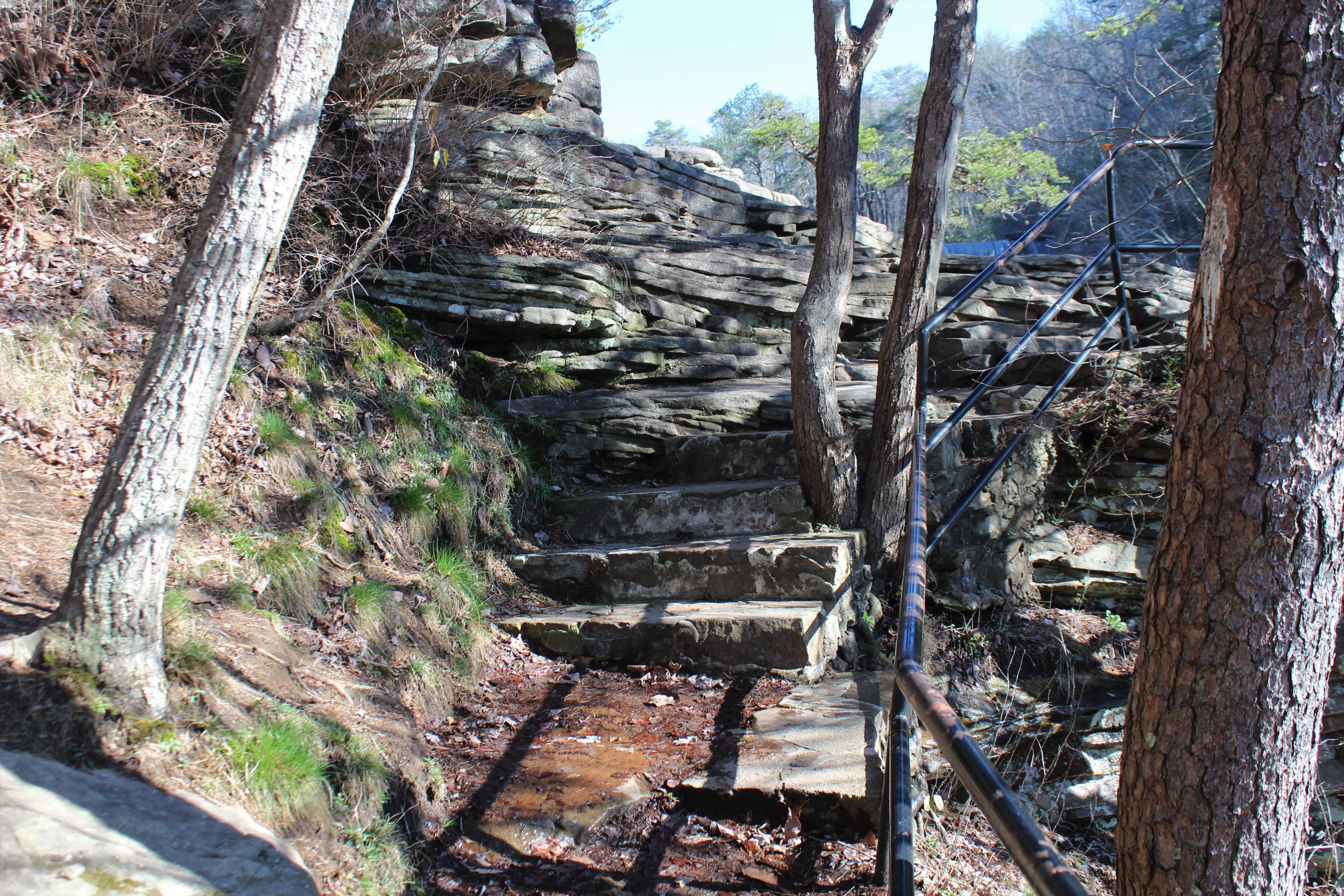 DSP DeSoto Falls Picnic Area Winter