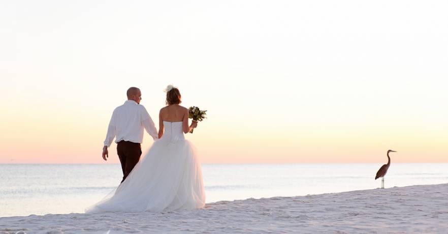 Beach Wedding Photos Along the Shore