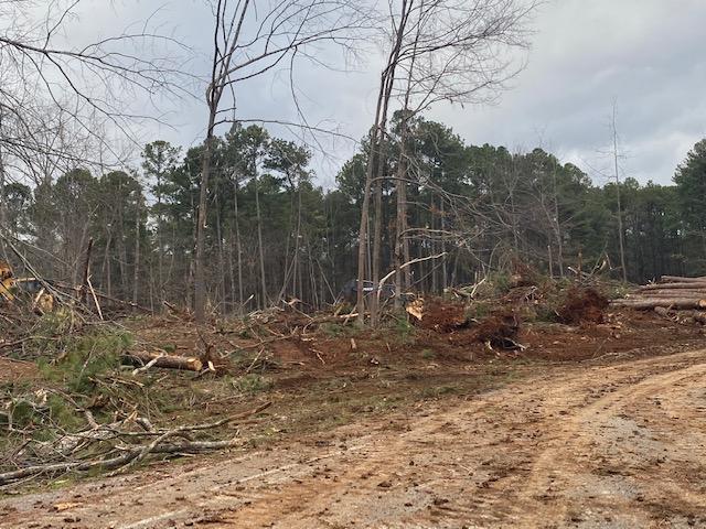 JWSP Campground January 24, 2020