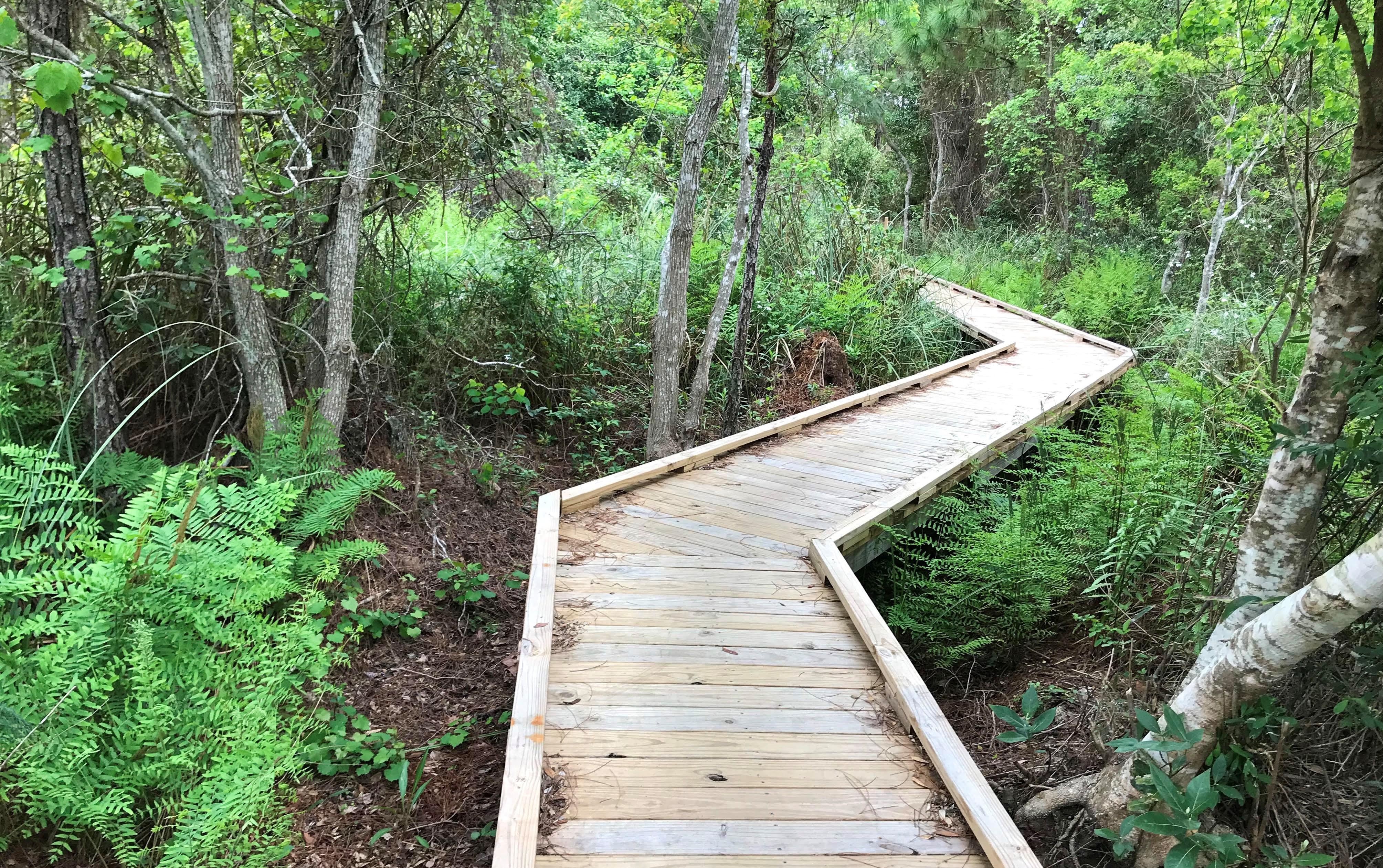 Middle Lake Overlook Boardwalk
