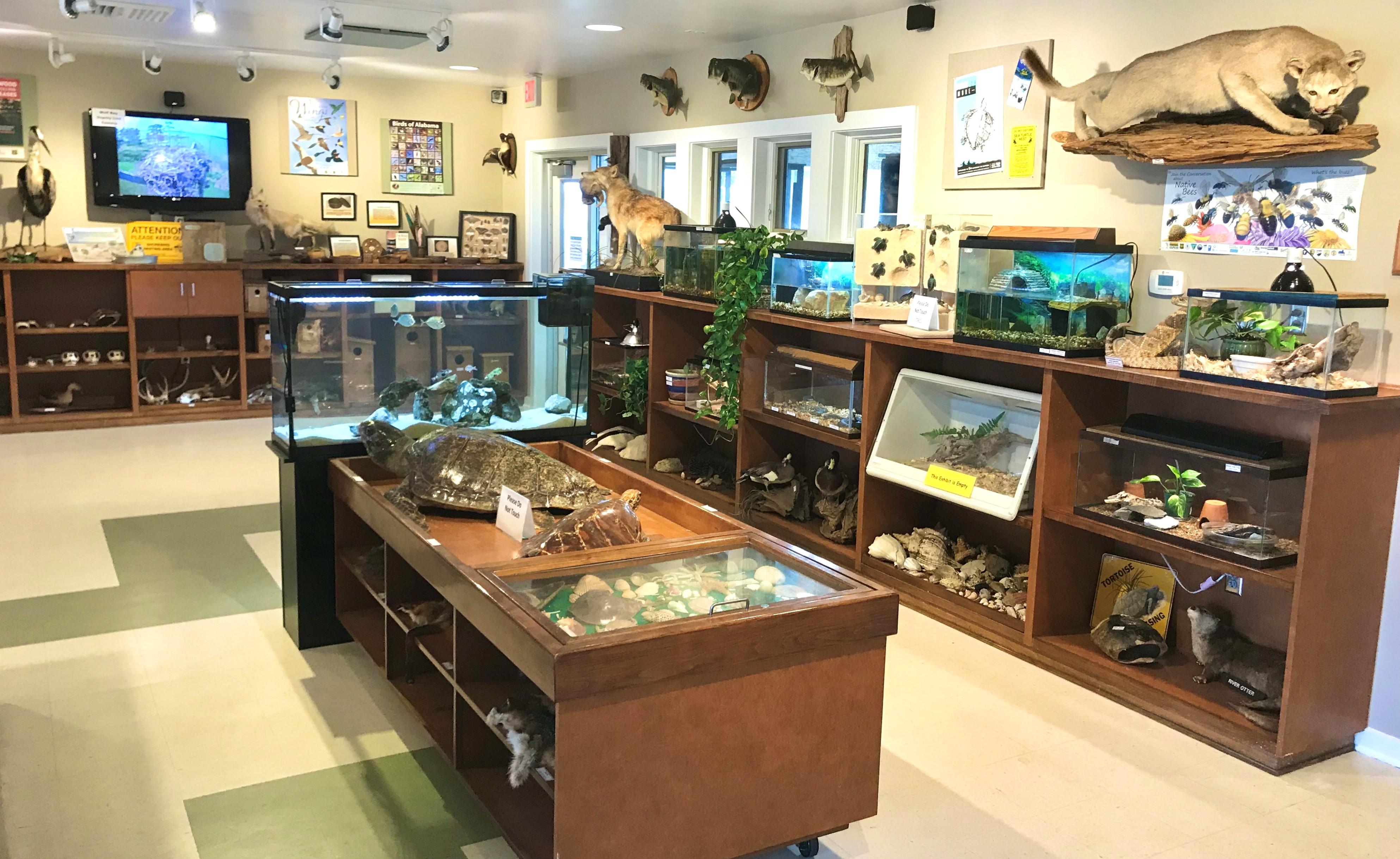 GSP Nature Center Display I