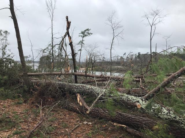 JWSP CAMPGROUND DEC 17