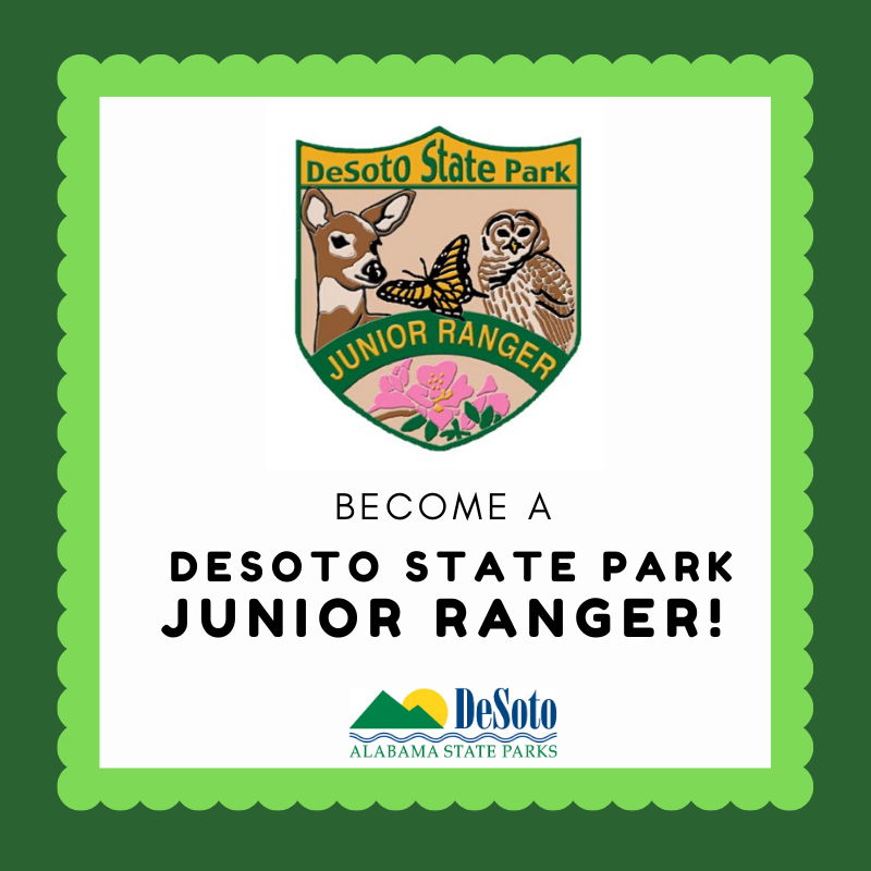 DSP Junior Ranger