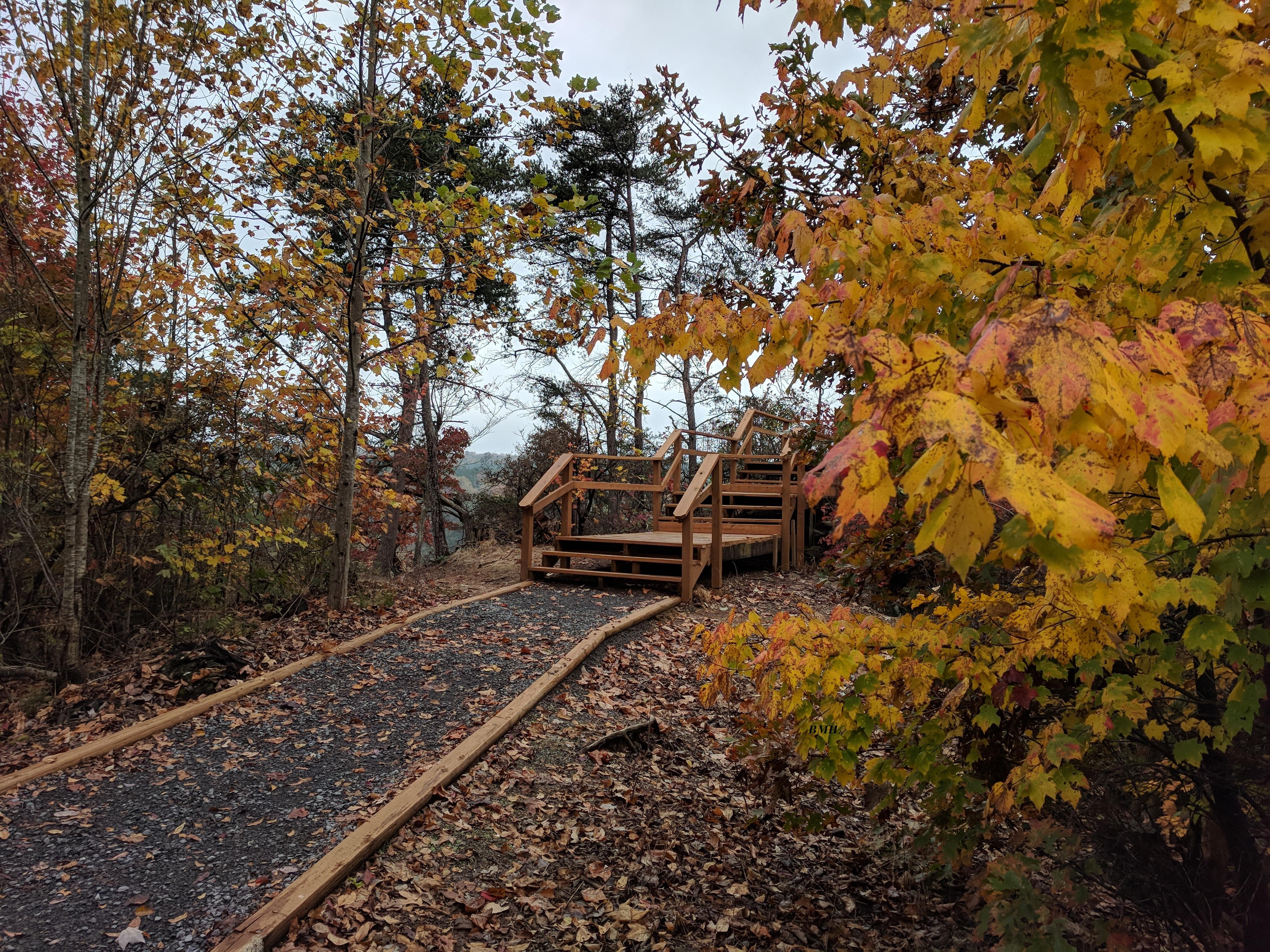 Buck's Pocket Overlook Trail