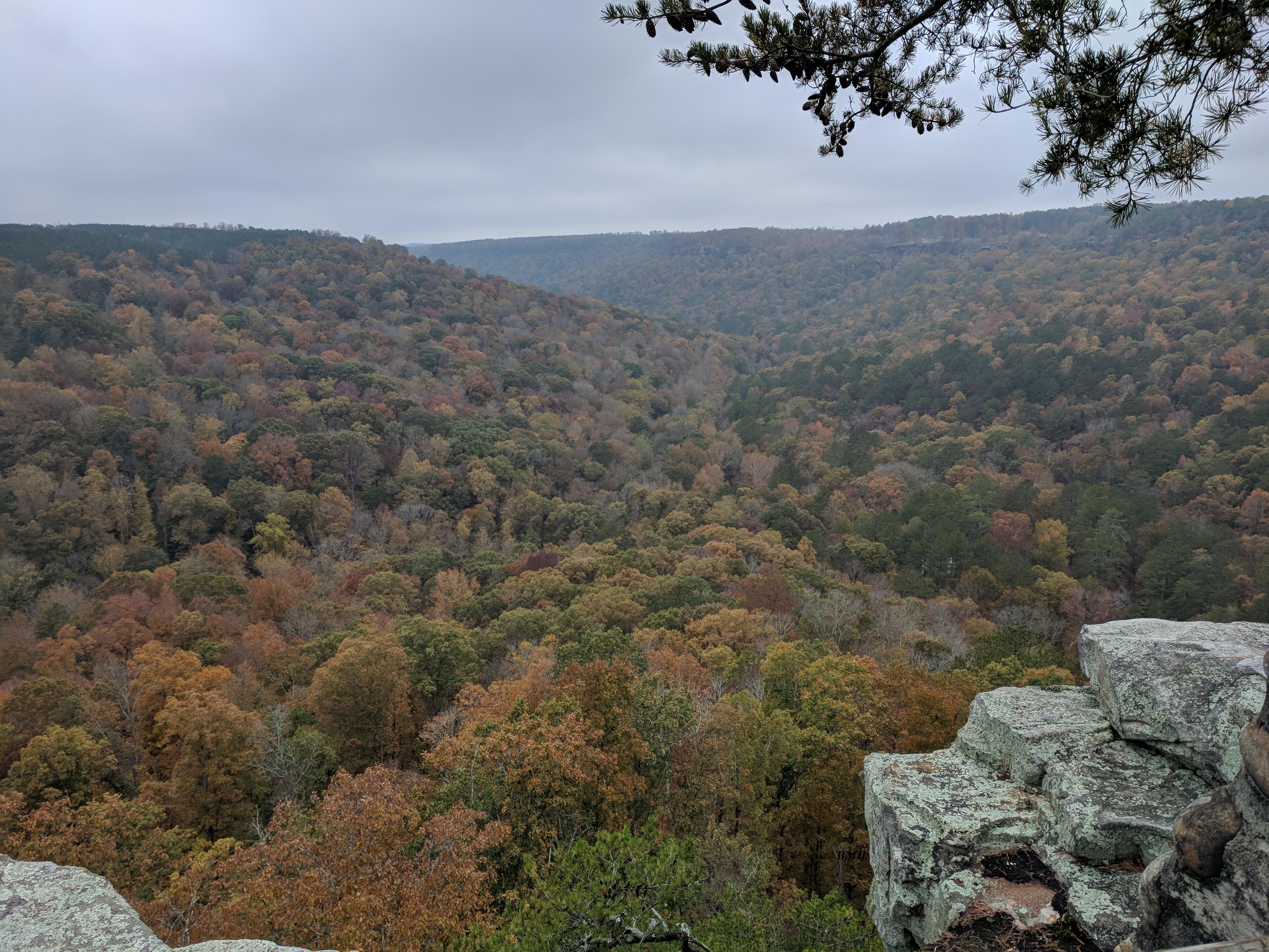 Buck's Pocket Overlook Trail