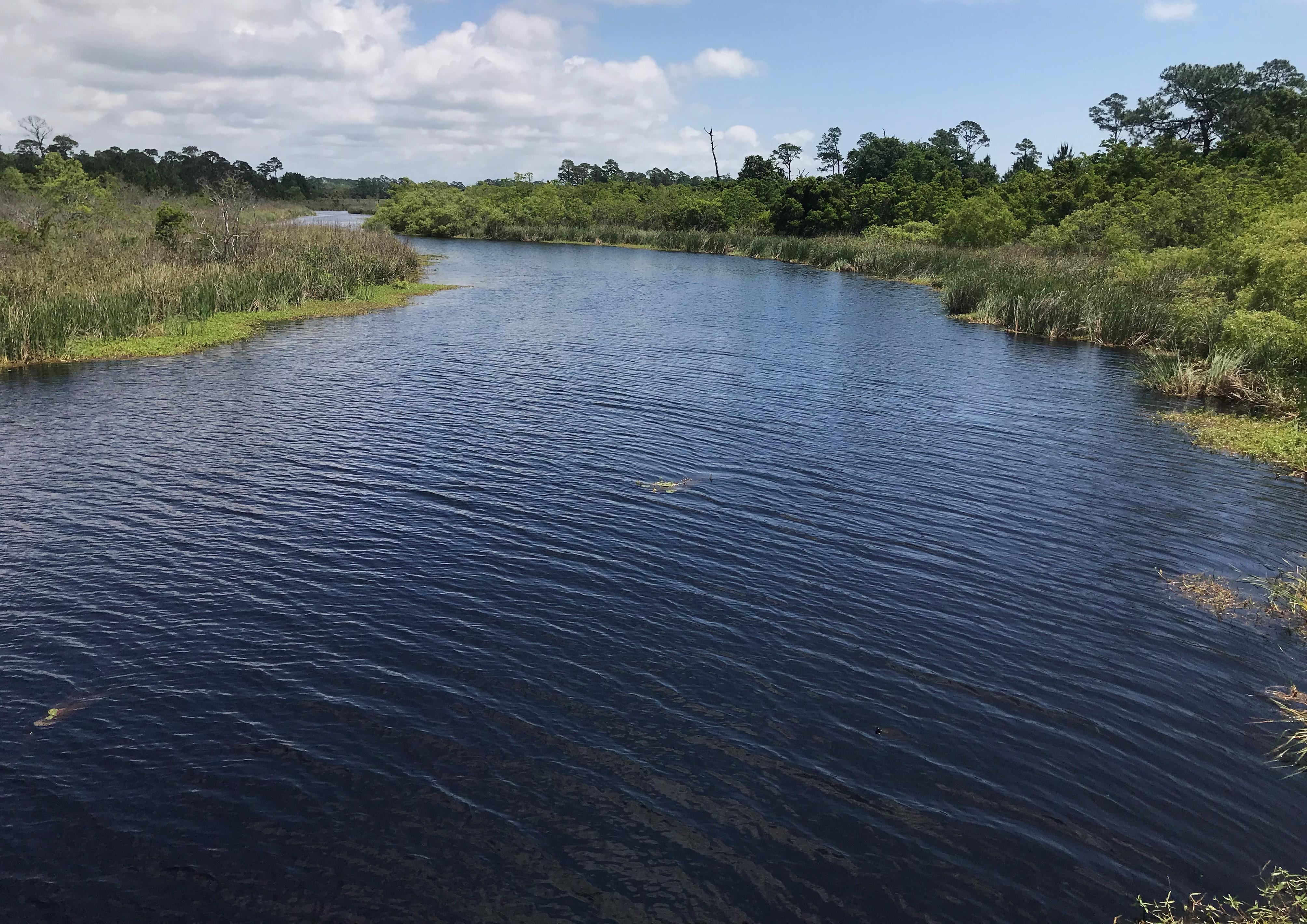 Canal from Middle Lake Towards Little Lake. Photo by Farren Dell