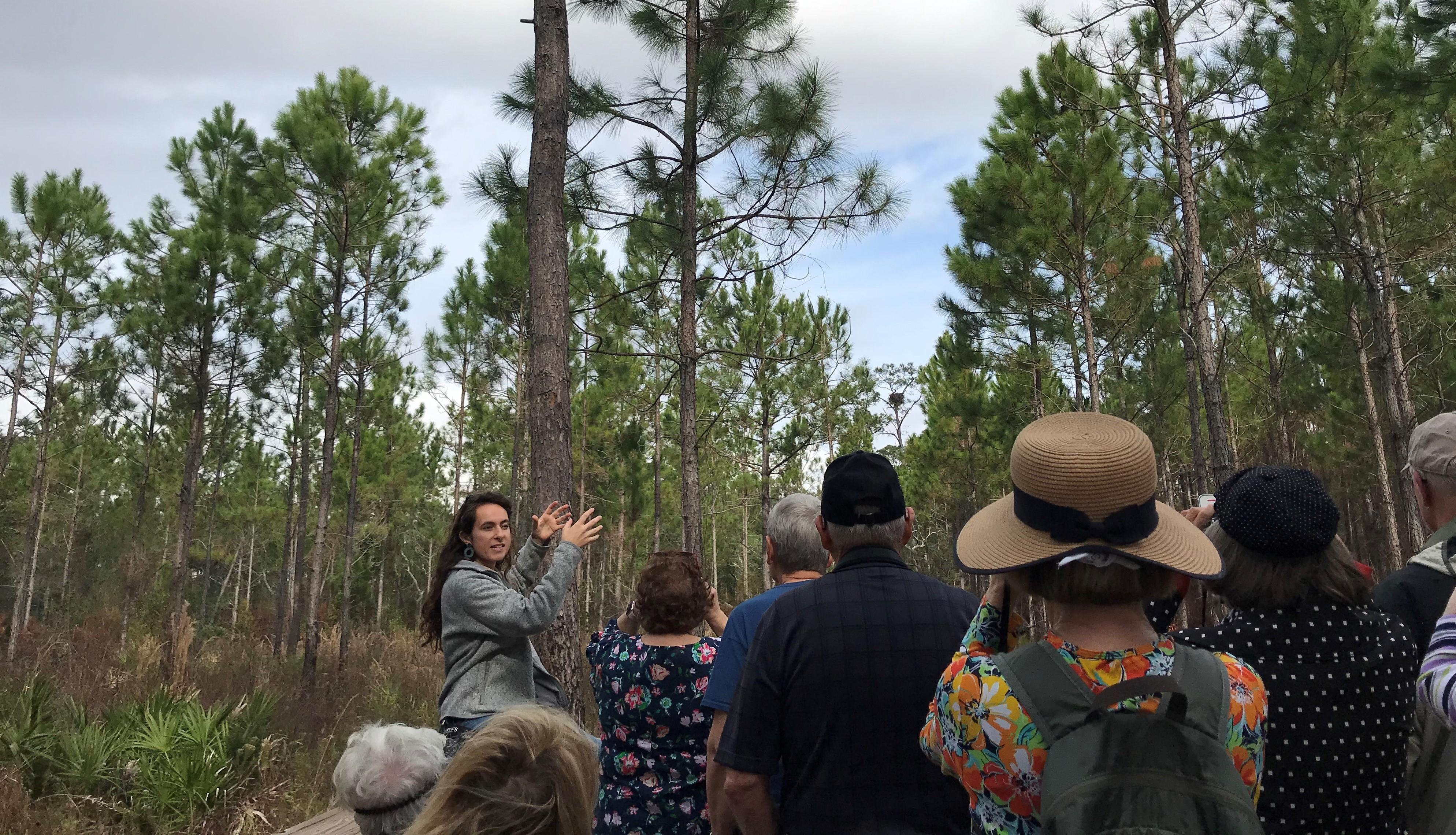 Naturalist Leads a Guided Hike to Our Bald Eagle Nest