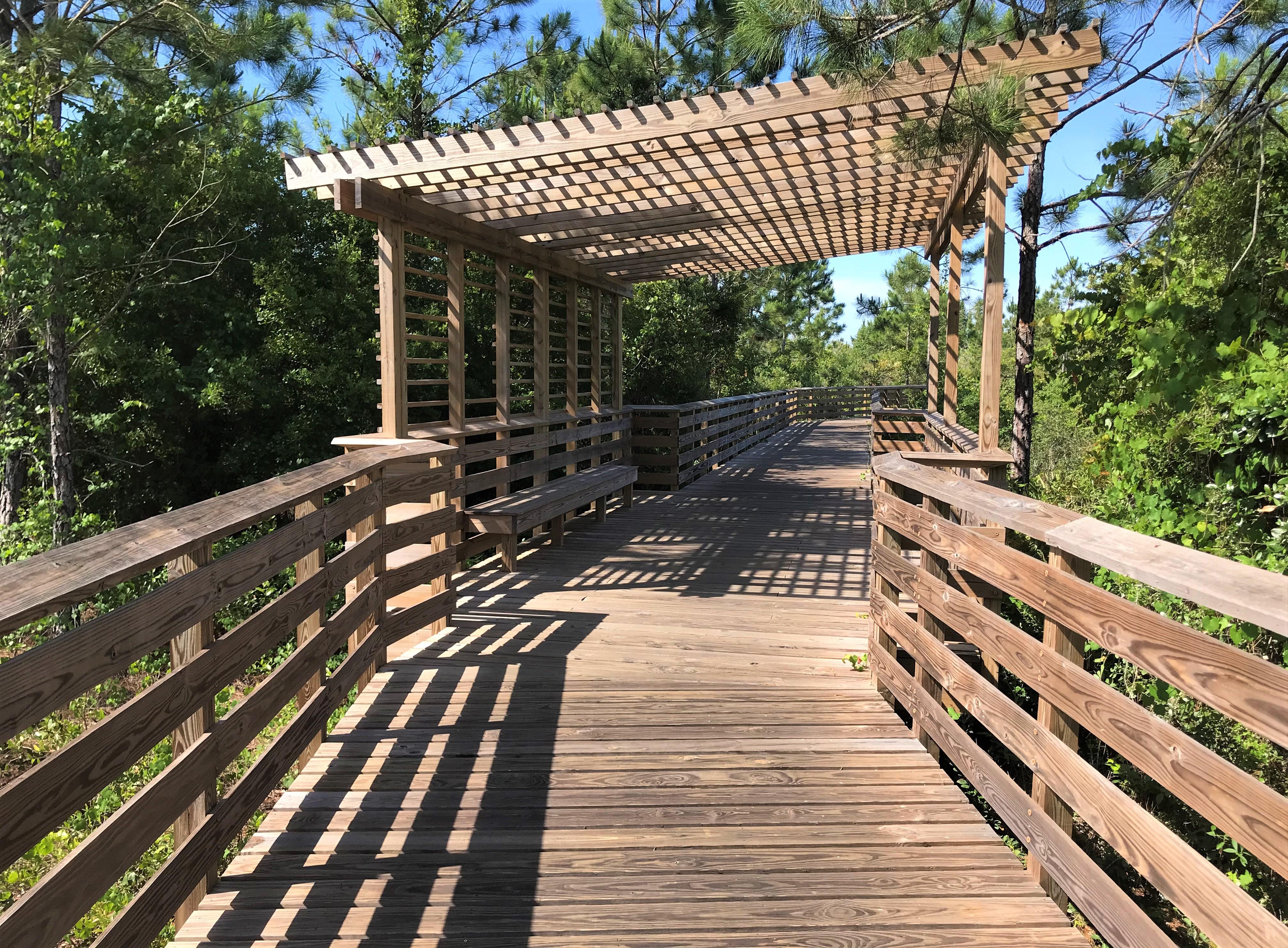 Shaded Bench Area on Beach Mouse Bypass Trail