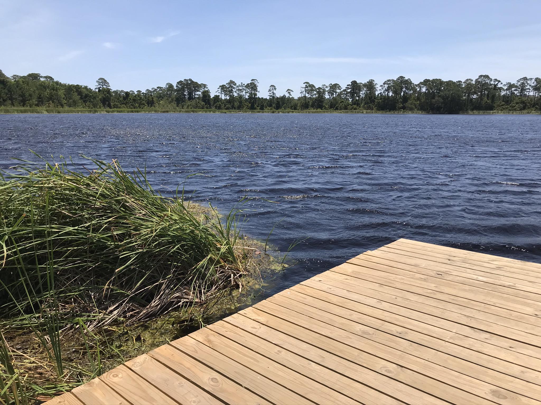 View from a Dock at Little Lake