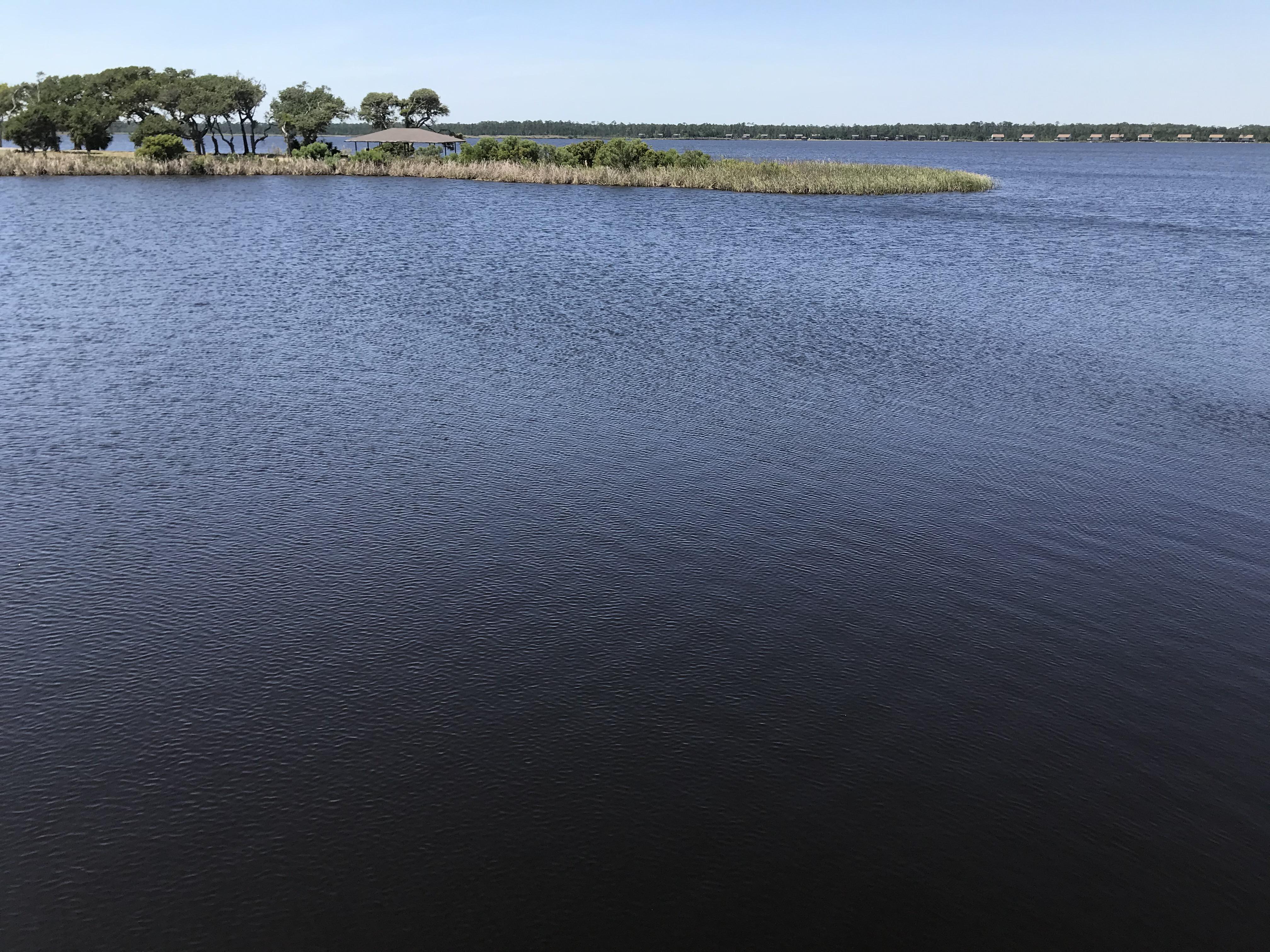 Lake Shelby Shoreline Areas