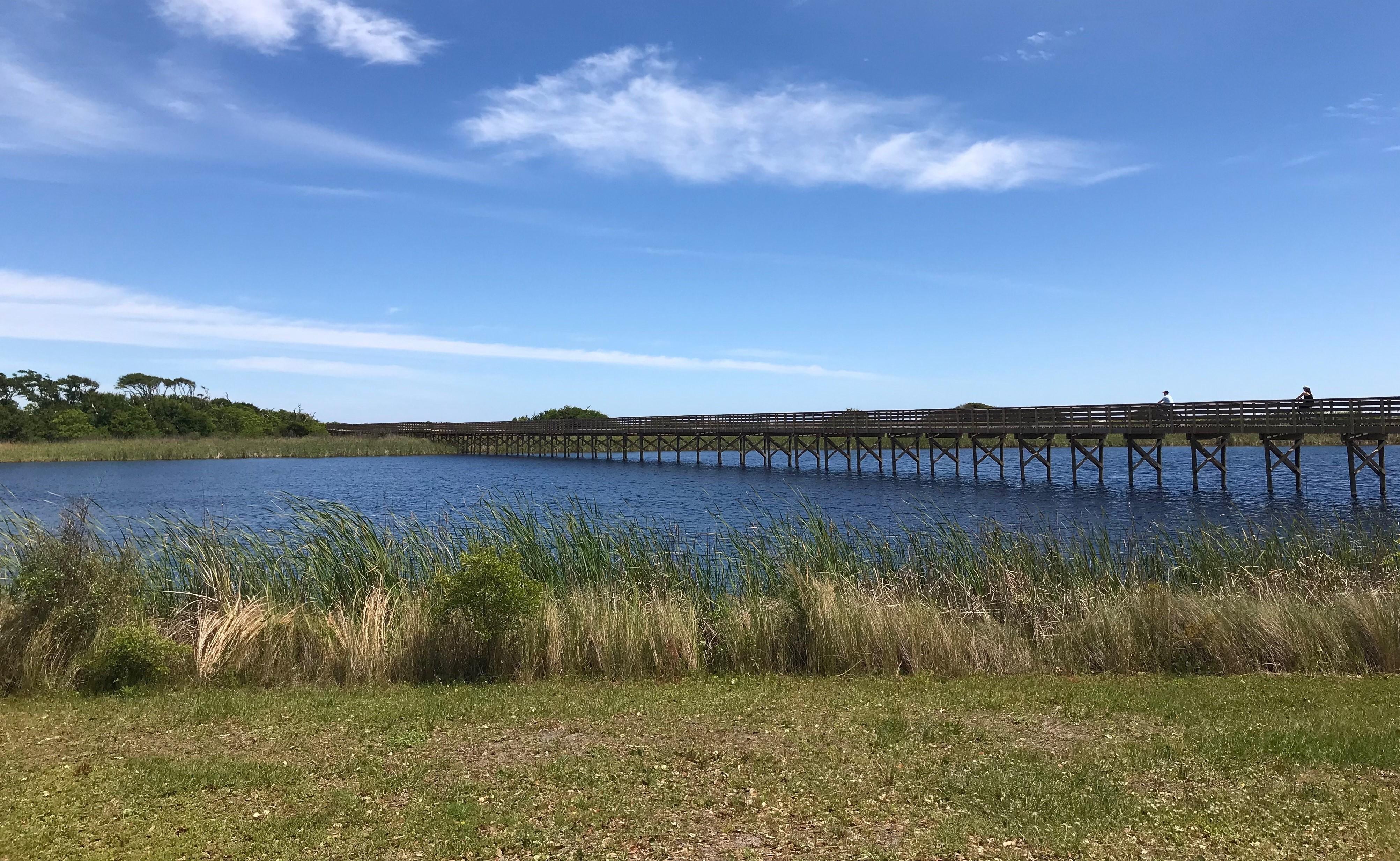 Boardwalk Trail Over Lake Shelby 