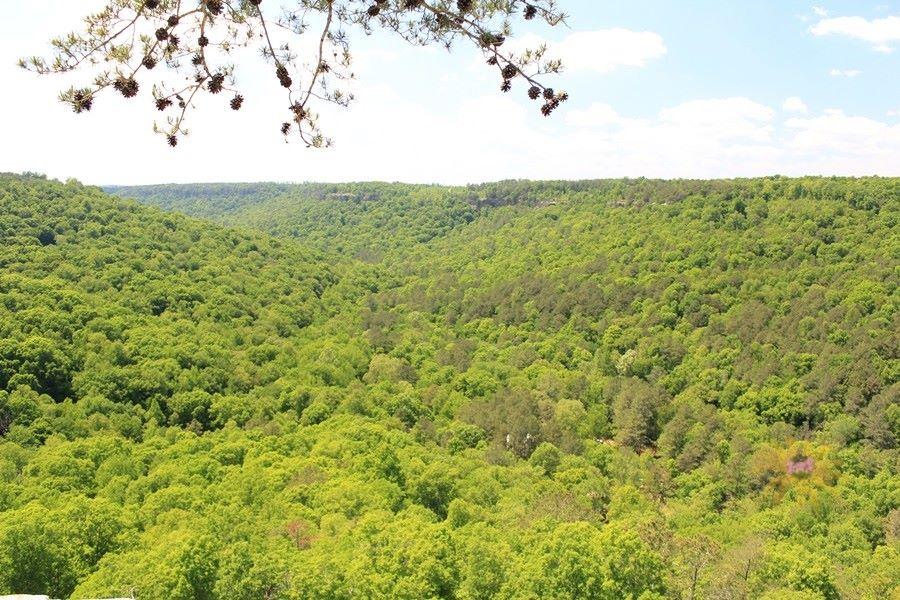 Buck's Pocket State Park Overlook