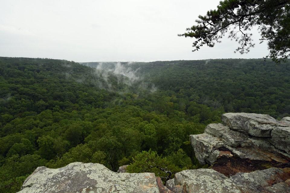 Buck's Pocket State Park Overlook