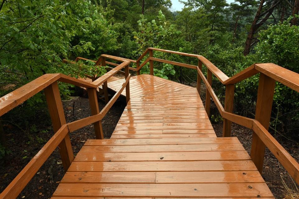 Buck's Pocket State Park Overlook