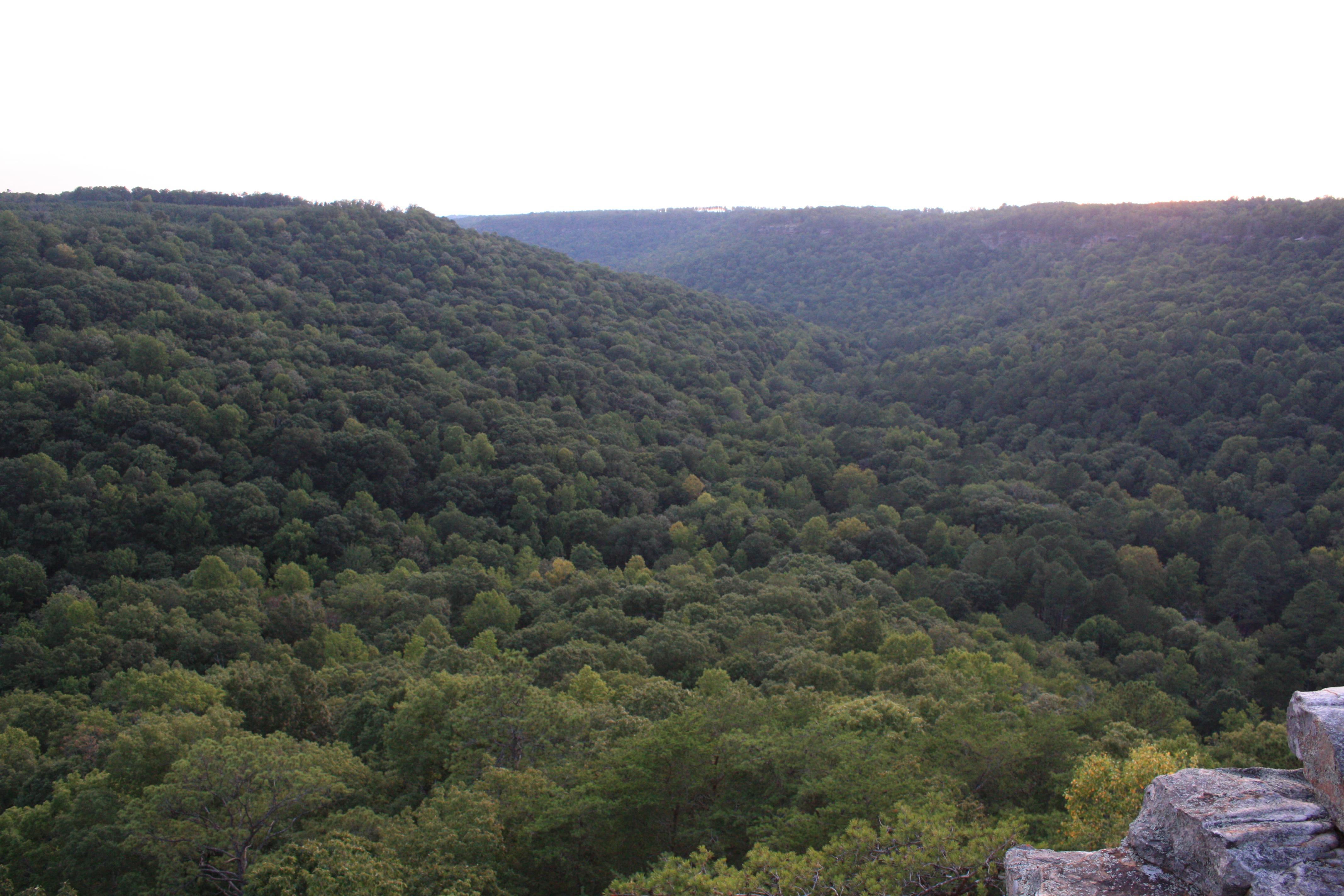 Buck's Pocket State Park Overlook