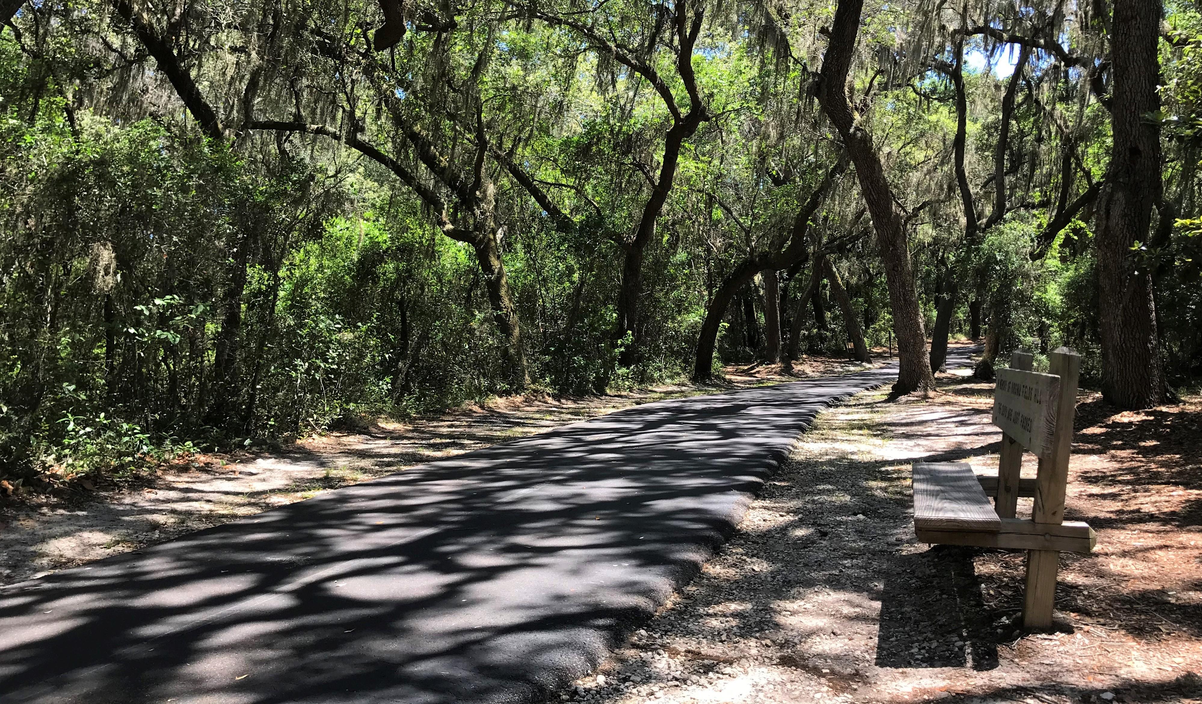 A Serene Afternoon of Gulf Oak Ridge Trail
