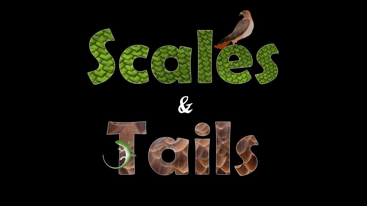 scales and tails
