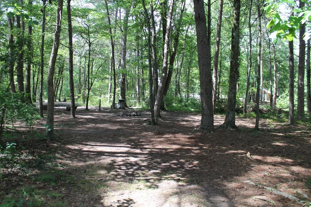 DSP Primitive Campground