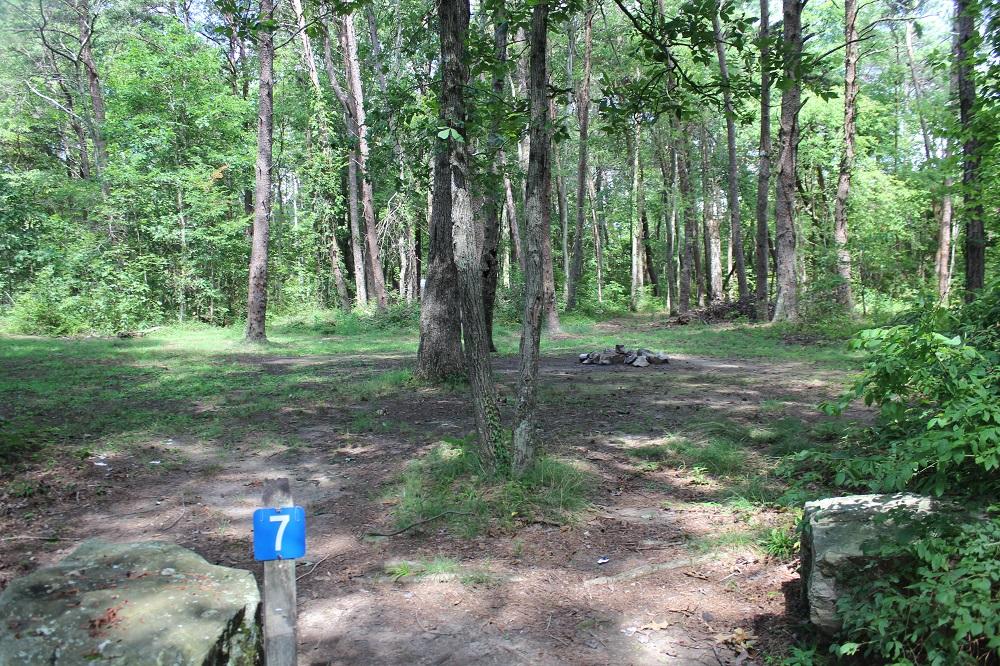 DSP Primitive Campground